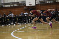 運動系紹介
